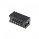 Conector de inclinación doble fila 2x5 2.54 mm 