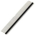 Espadin Macho Negro largo 1x40 Pin 2.54mm