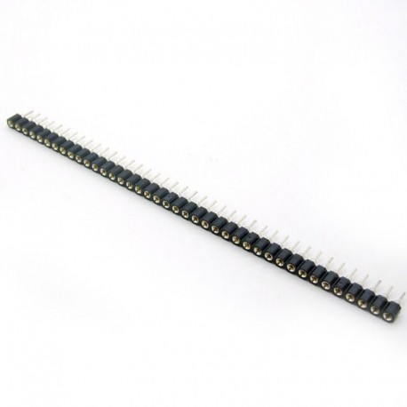 Conector Hembra Negro 1x40 Pin